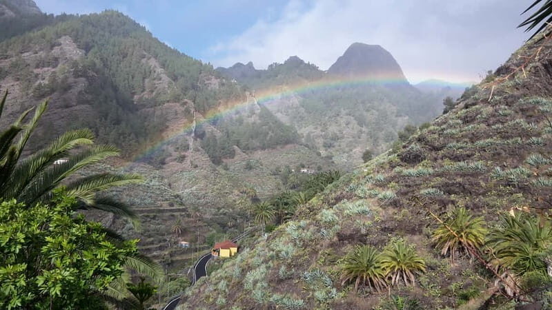 Rural Life Experience: Mojo Workshop and botanical Walk - Value Check: Is $74 for Mojo and Botanics Worth It?