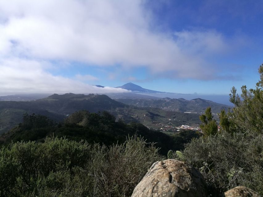 Santa Cruz de Tenerife: 2-Hour Hiking Tour in Anaga Forest - The “easy, relaxed” pace that still feels rewarding