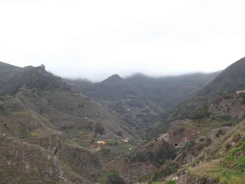Santa Cruz de Tenerife: 2-Hour Hiking Tour in Anaga Forest - Santa Cruz meeting point and how pickup works
