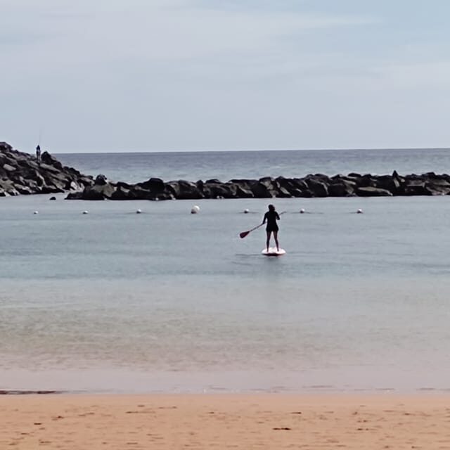 Santa Cruz de Tenerife: Las Teresitas Stand Up Paddle Course - Who This Stand Up Paddle Course Is Best For