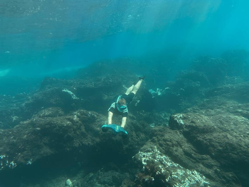 Scooter fun snorcel tour in turtle area - Underwater scooter 101: why this is easier than regular snorkeling