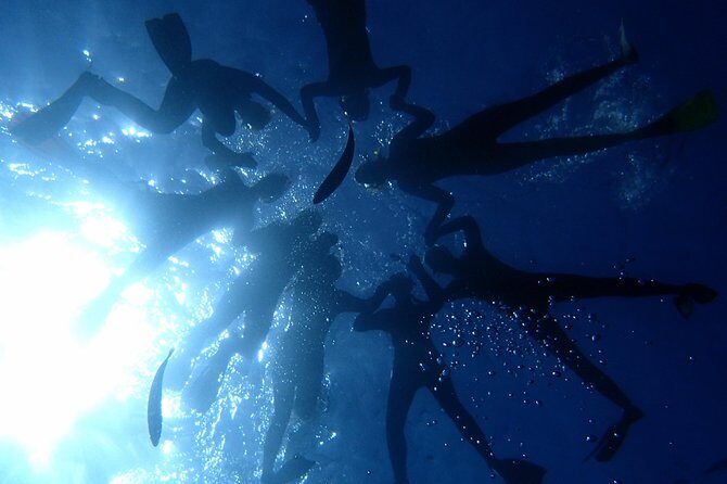 Scuba Adventure – 2 Guided Dives from Our Boat in Tenerife - Getting there at 8:30am and how the flow works