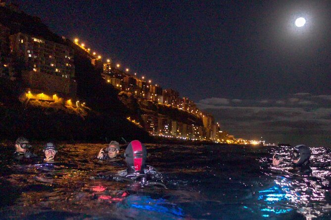 Scuba Night Dive on Tenerife - Key things I’d bet on before you go