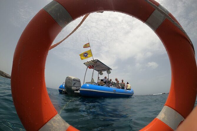 SEA SAFARI, Dolphins, Whales, snorkeling, snack and drink, 2 h speedboat - Who Should Book This SEA SAFARI (and Who Might Pass)