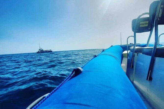 SEA SAFARI, Dolphins, Whales, snorkeling, snack and drink, 2 h speedboat - On Board With Marco and the Captain: The Human Part
