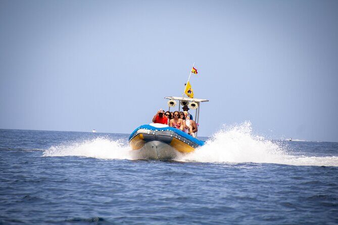 SEA SAFARI Dolphins,Whales, snorkeling, snack, drink, 3h private - Entering the action at Puerto Colón (and why location matters)