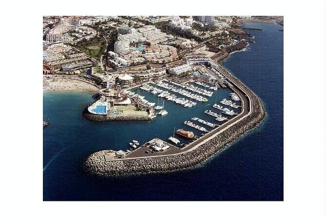 SEA SAFARI Dolphins,Whales, snorkeling, snack, drink, 3h private - Snorkeling without the fuss: gear included, time on the water