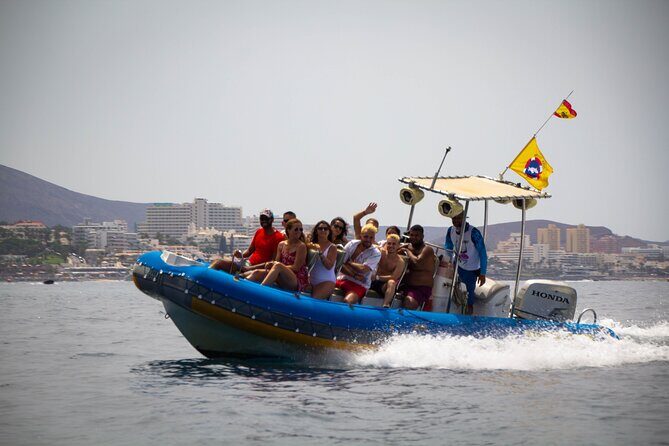 SEA SAFARI Dolphins,Whales, snorkeling, snack, drink, 3h private - Whale and dolphin watching with a captain who explains