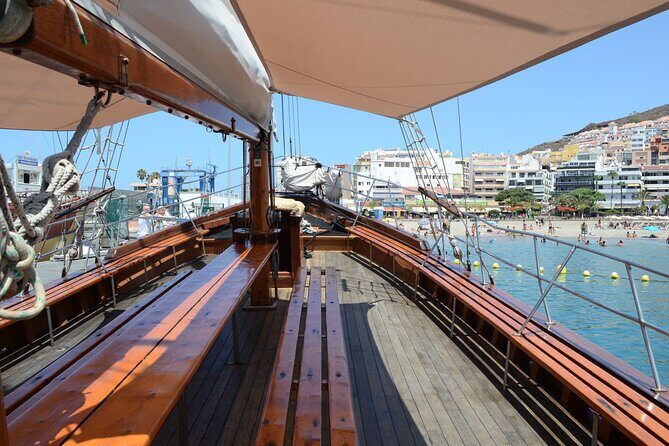 Sealife Dolphin & Whale Watching aboard Portuguese schooner - Key things that make this tour worth a look