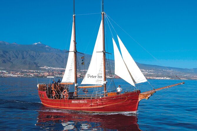 Sealife Dolphin & Whale Watching aboard Portuguese schooner - The Anchored Lunch Stop and Atlantic Swim: When It Gets Real