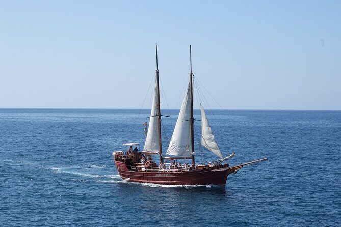 Sealife Dolphin & Whale Watching aboard Portuguese schooner - Aboard the Portuguese Wooden Schooner: Open Bar, Table, and Sun Deck