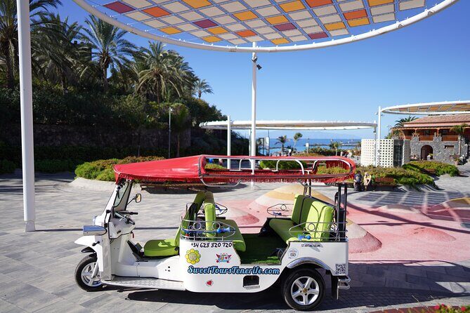 Secret Volcano Tour by Tuk Tuk in Costa Adeje - Puerto Colón Marina: Where the Guide Starts with Water and History