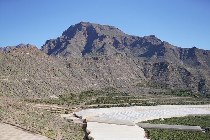 Secret Volcano Tour by Tuk Tuk in Costa Adeje - The Guides Matter: How Hugo, Carlos, and Joanna Show Up in the Experience