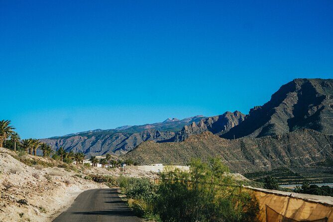 Secret Volcano Tour by Tuk Tuk in Costa Adeje - Where You Meet at Hotel Best Jacaranda (No Pickup, Short Walks)