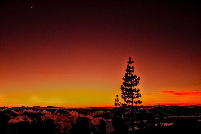 Self Drive Sunset & Stargazing in Teide National Park with Dinner - Restaurante 7 Cañadas: Canarian dinner inside the Teide area