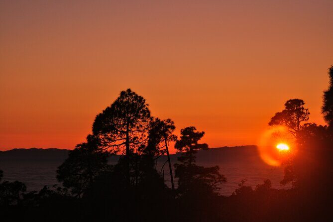Self Drive Sunset & Stargazing in Teide National Park with Dinner - Price and value: is it worth $78.09?
