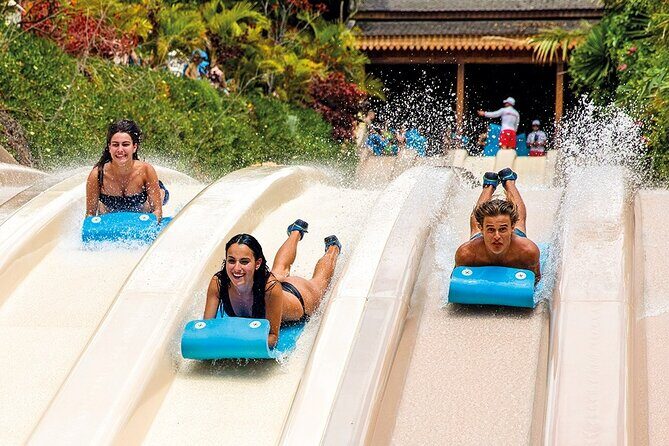 Siam Park Tenerife Entry Tickets - Who should book these Siam Park entry tickets