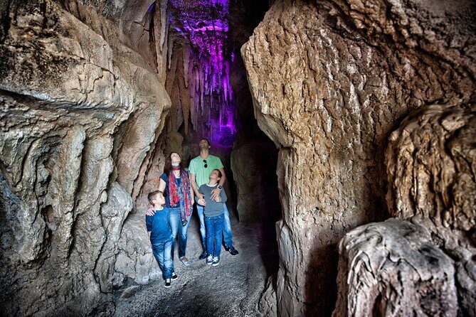 Skip the Line: Jungle Park Tenerife Entrance Ticket - Jungle Park Tenerife in six hours: how to plan your day