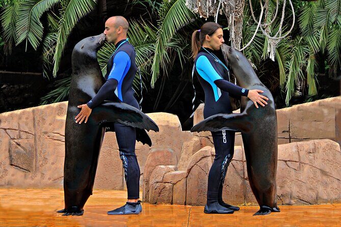 Skip the Line: Jungle Park Tenerife Entrance Ticket - Timing and opening hours: don’t miss your day window