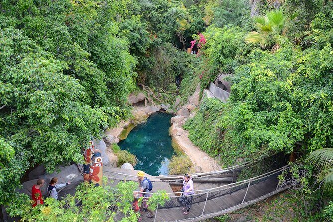 Skip the Line: Jungle Park Tenerife Entrance Ticket - Your animal route: big cats and orangutans first