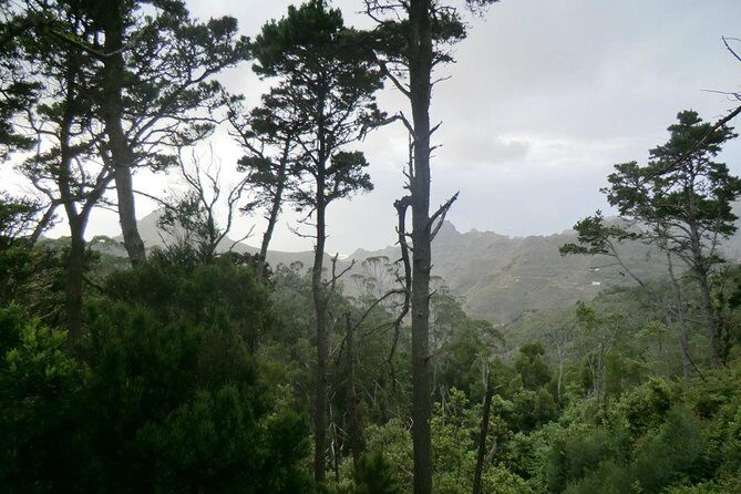 Small Group Guided Hiking in Anaga Rural Park in Tenerife - Meeting at Cafetería Carmita and how transfers usually work