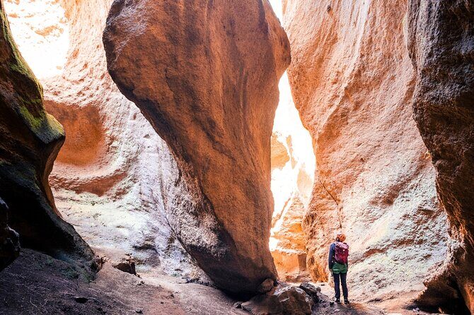 Small-Group Half-Day Canyoning in La Orotava - Key Highlights You’ll Feel Immediately