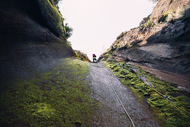 Small-Group Half-Day Canyoning in La Orotava - The Forest Track: 45 Minutes of Calm Before the Ropes