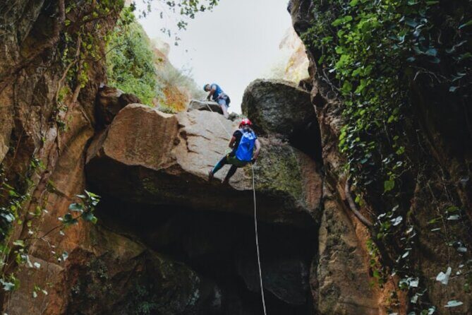 Small-Group Half-Day Canyoning in La Orotava - Progress, Safety, and How Guiding Style Shapes the Day