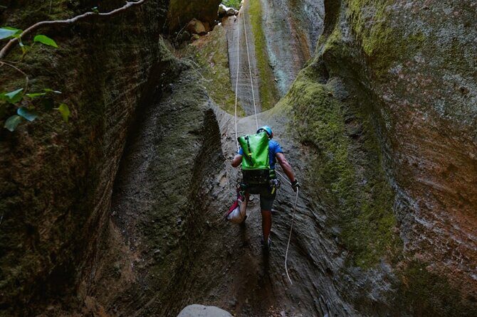Small-Group Half-Day Canyoning in La Orotava - The Return Hike: About 20 Minutes Back to the Forest Track