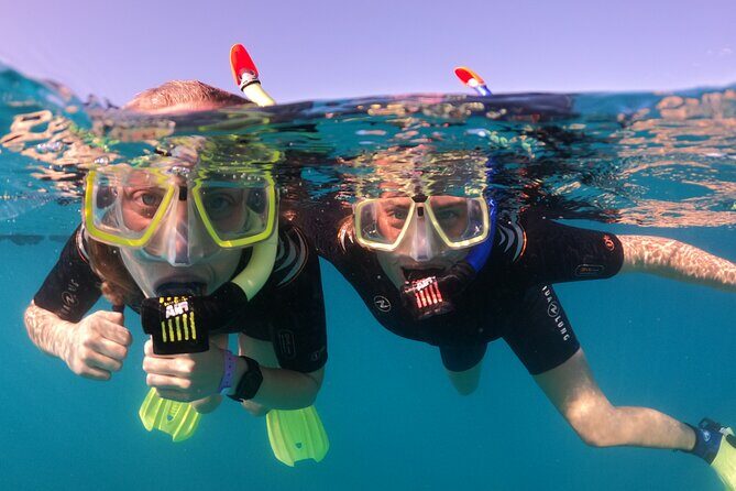 Small Group Snorkeling in Abades Bay with Licensed Guide - Gear setup and the briefing that actually helps
