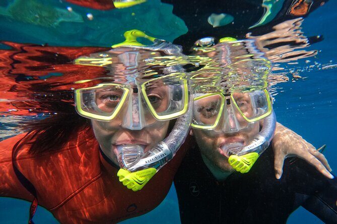 Small Group Snorkeling in Abades Bay with Licensed Guide - Your guided hour: learning the reef without the pressure