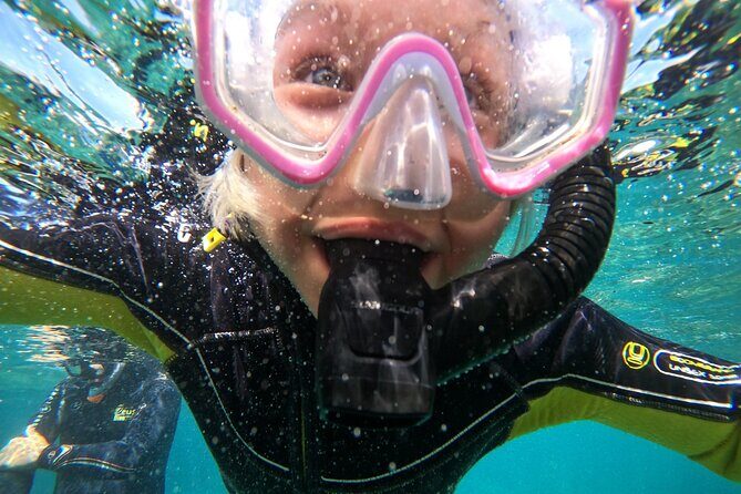 Small Group Snorkeling in Abades Bay with Licensed Guide - What you might see on the volcanic house reef
