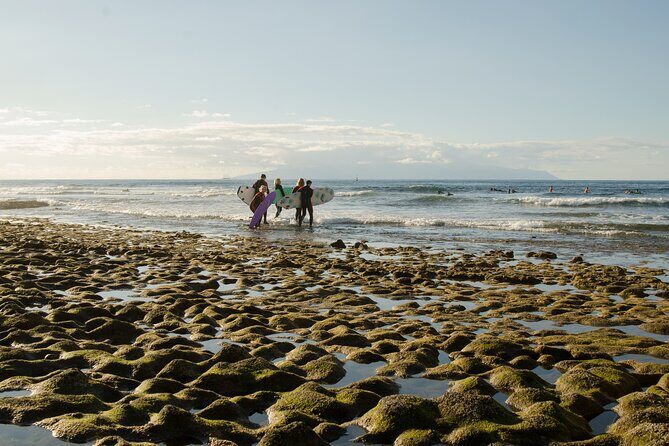 Small Group Surf Lesson in Playa de las Americas - What the price covers (and why it feels fair)