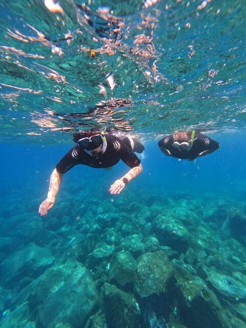 Snorkeling Boat Trip in Marine Turtles Natural Habitat - Before you float: briefings, safety rules, and getting geared up