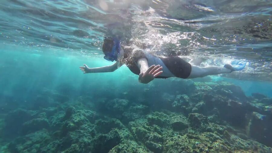 Snorkeling in a Volcanic Bay - Starting at Marina del Sur: where your Tenerife snorkeling day begins