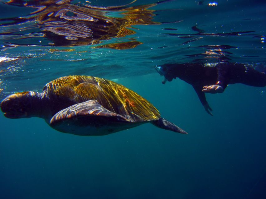 Snorkeling in a Volcanic Bay - Sailing out for 15 minutes: getting to the right snorkel zone