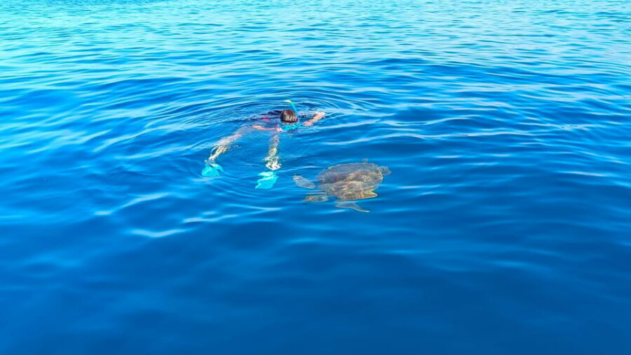 Snorkeling in a Volcanic Bay - What to weigh before you book: realistic expectations