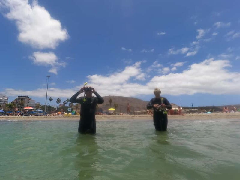 Snorkeling in tenerife south: Discover the underwater world - Underwater life you’ll want to hunt for (realistically)