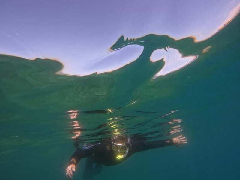 Snorkeling in tenerife south: Discover the underwater world - Stop-by-stop flow: what happens at each stage