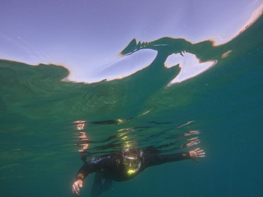 Snorkeling in tenerife south: Discover the underwater world - Small group guiding (8 max) and the attention that makes it feel safe