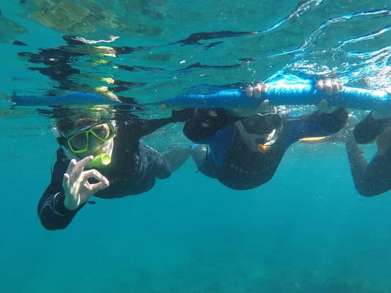 Snorkeling in tenerife south: Discover the underwater world - Included extras you’ll feel during the trip