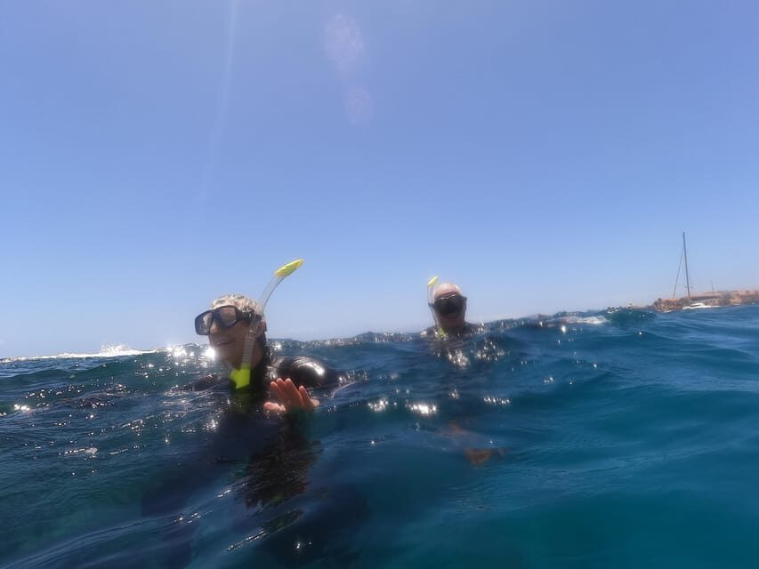Snorkeling in tenerife south: Discover the underwater world - Who this Tenerife South snorkeling trip is best for