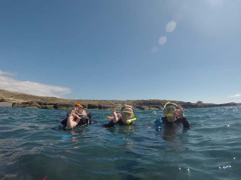 Snorkeling in tenerife south: Discover the underwater world - Practical tips: how to make the most of your 2.5 to 3 hours