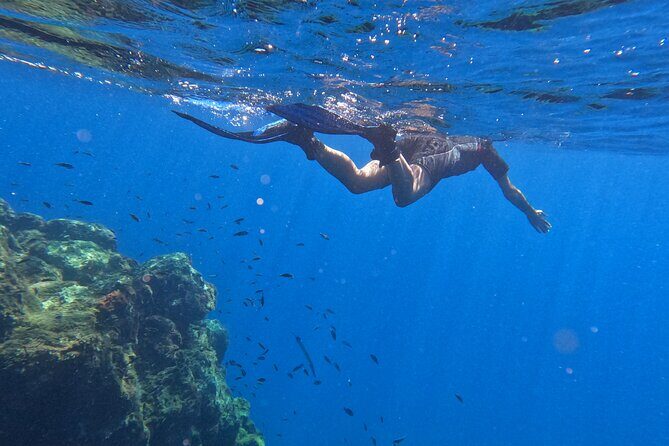 Snorkeling with a Professional Instructor in Tenerife - In-water time with photos and videos: how to get the best results