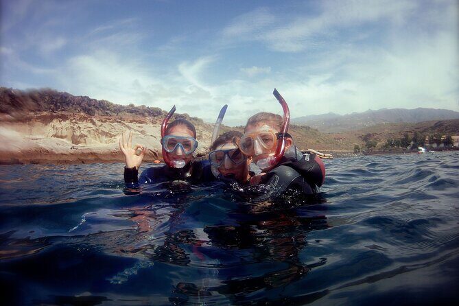 Snorkelling safari in a turtle area - The snorkelling safari itself: how turtle watching plays out