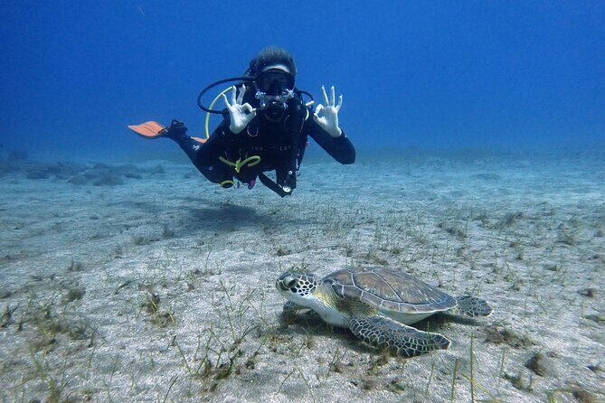 South of Tenerife : DSD Scuba Diving for beginners, Adeje - Costa Adeje Start Time: What the Morning Looks Like