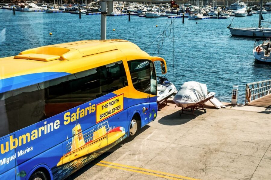 Southern Tenerife: 50-Minute Submarine Dive - Bus transfer + the Amarilla Golf stop: how the day gets structured