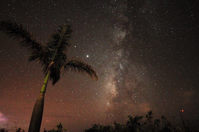 Stargazing on La Palma - Andreas’s Sky Stories and How Constellations Click