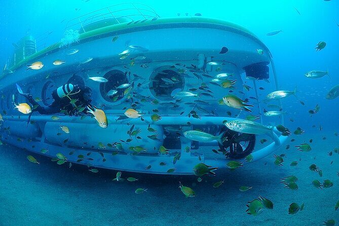 Submarine tour Tenerife: a 1 hour underwater experience - Depth and marine life: what you’re actually paying for