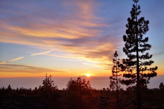 Sunset & Stargazing Experience from Teide - Price and value: $78.19 for dinner, transport, and telescopes